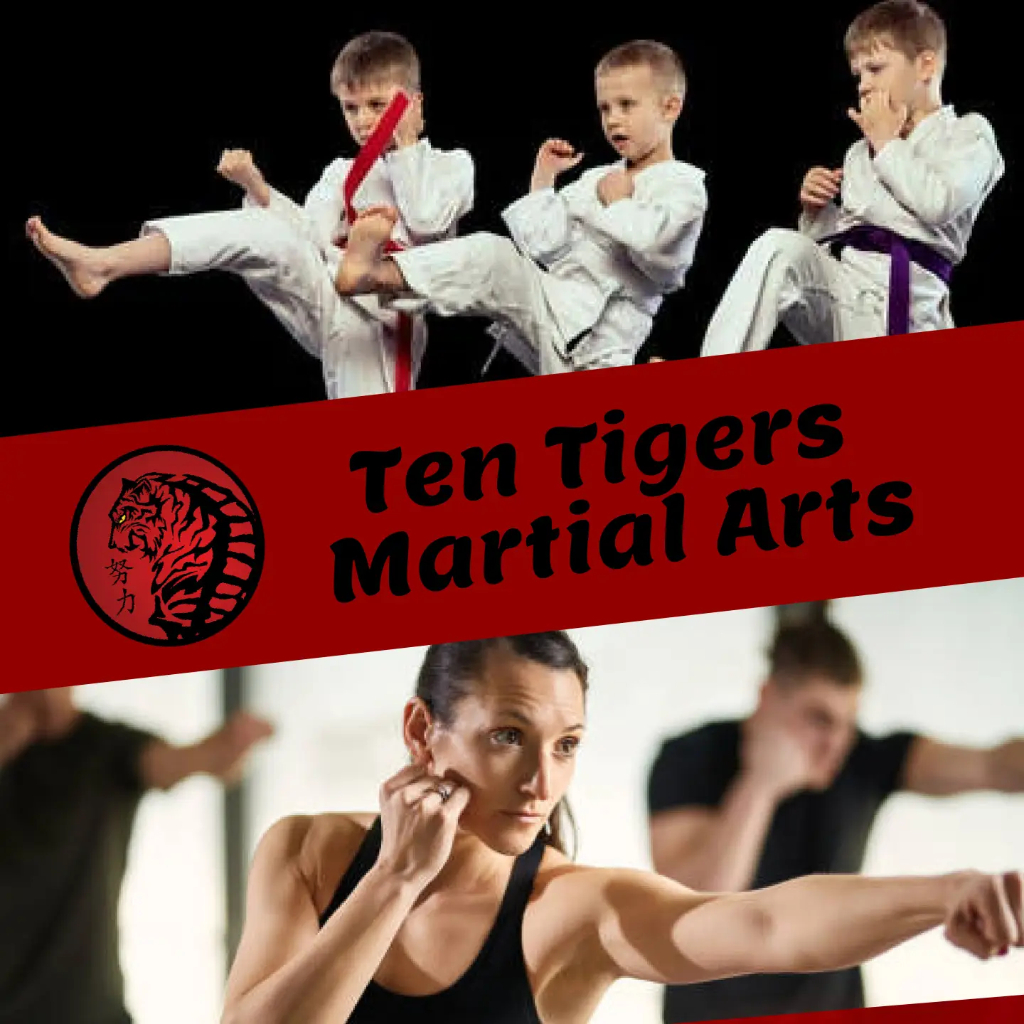 Ten Tigers Martial Arts - Karate - Kung Fu - Jiu Jitsu